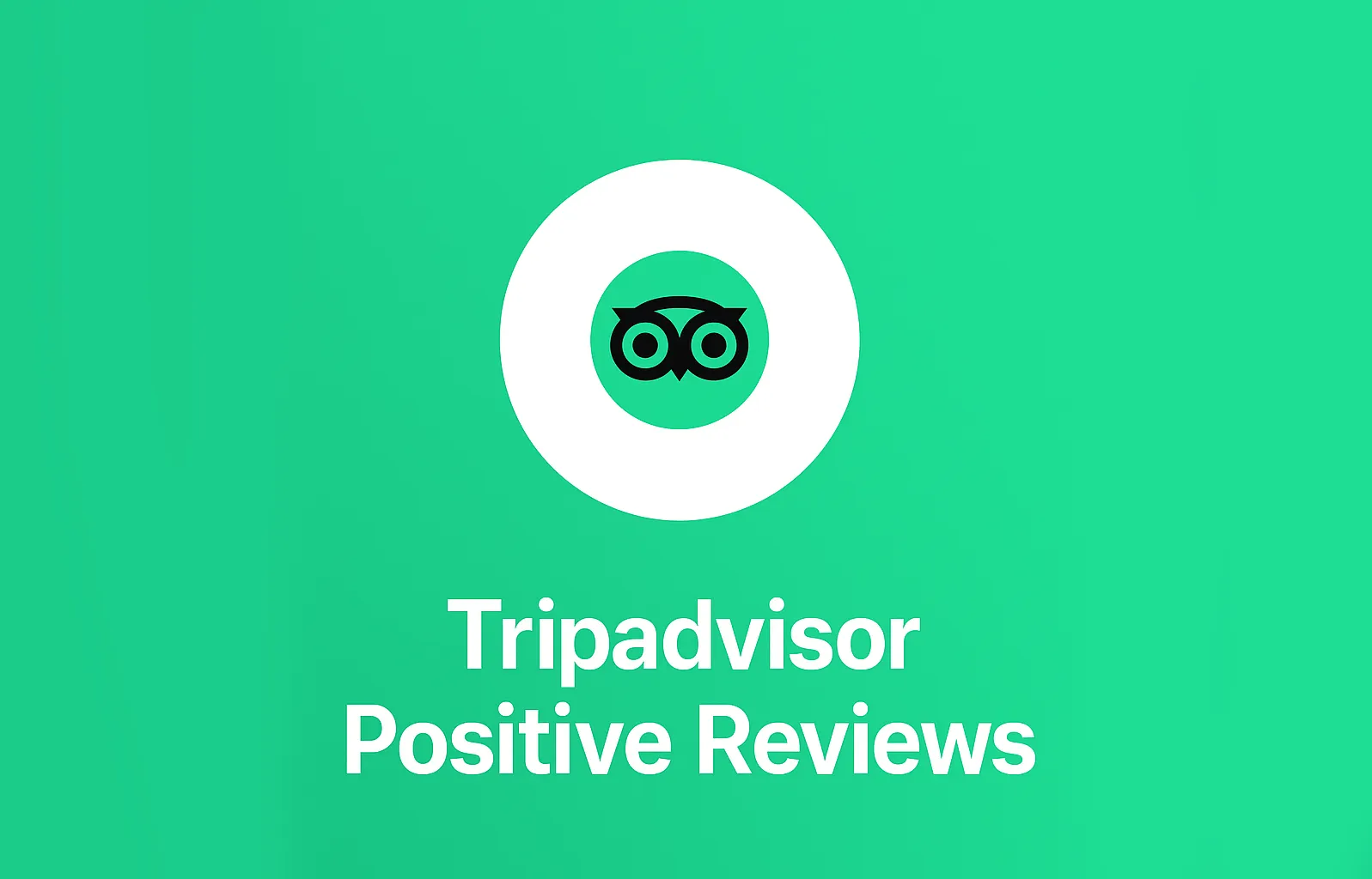 TripAdvisor Positive Reviews
